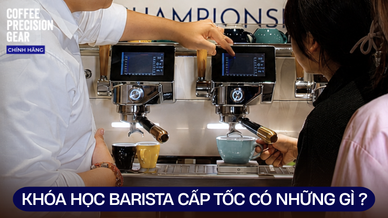 Khóa Học Barista Cấp Tốc Tại TPHCM - Học Những Gì Để Ra Nghề Ngay?